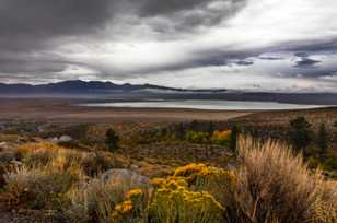 Crowley Lake-5090.jpg